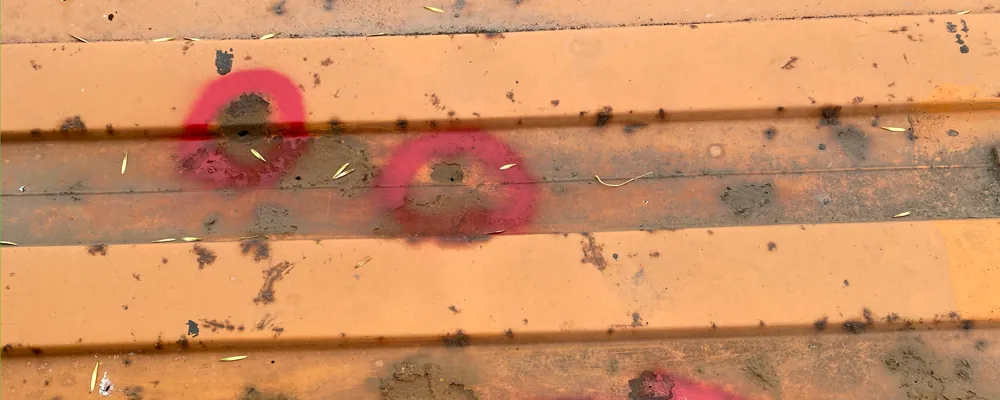 Container roof with two rust holes circled in red paint